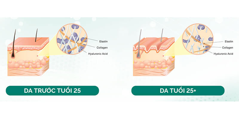 nghiên cứu làn da ở tuổi 25 sẽ ra sao để cùng chăm sóc da thật tốt