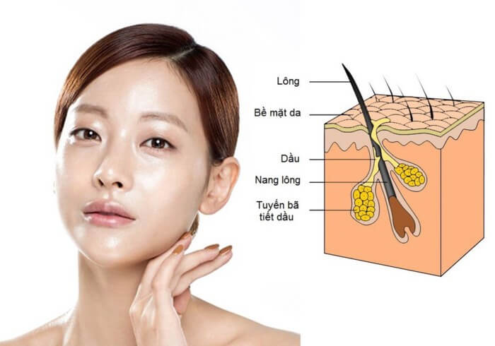 Phim thấm dầu acnes cứu cánh cho làn da nhờn